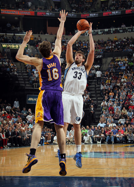 的早期阶段 的早期阶段