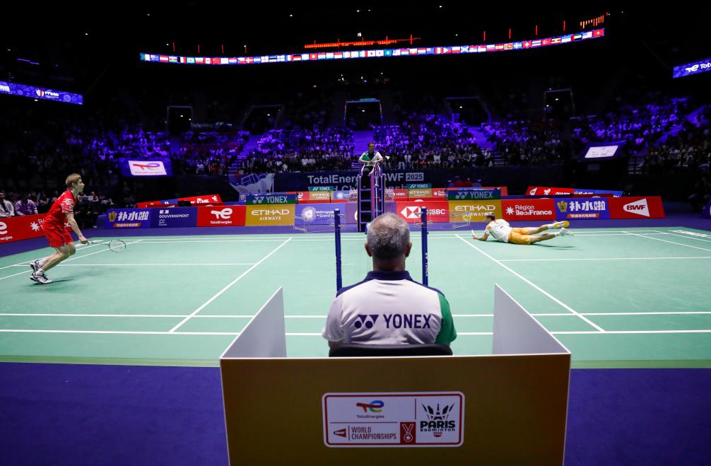 广厦队不仅 广厦队不仅