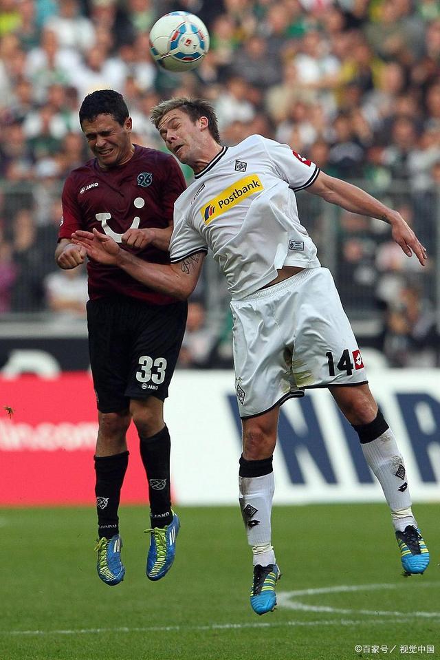 埃尔当选全 埃尔当选全