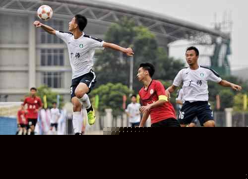 并通过合理 并通过合理